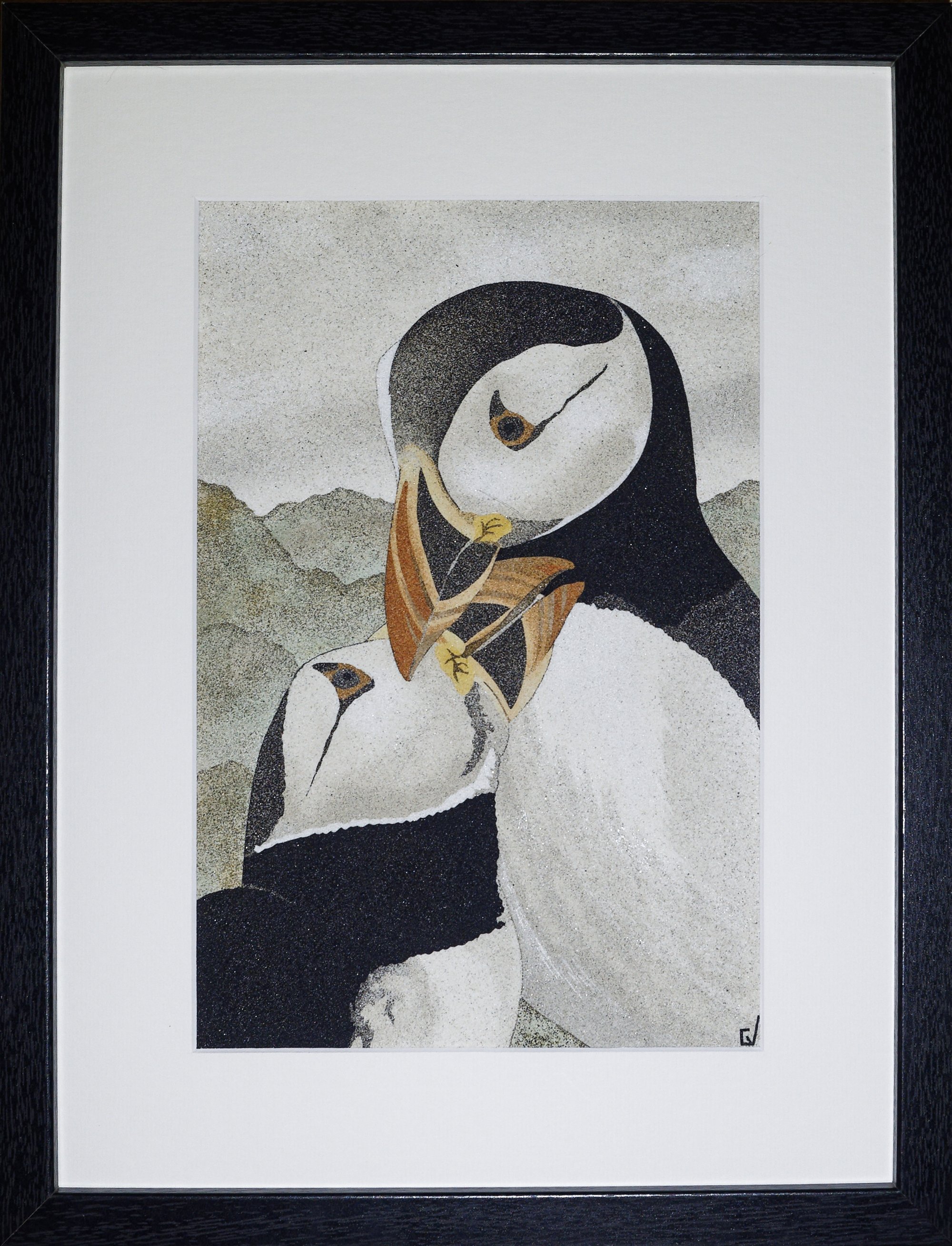 Oiseaux marins