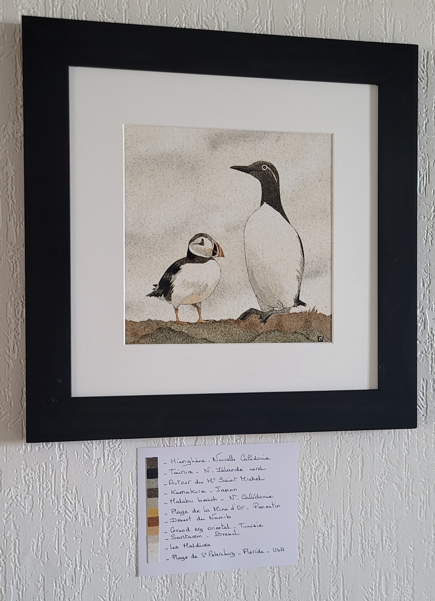 Guillemot et macareux