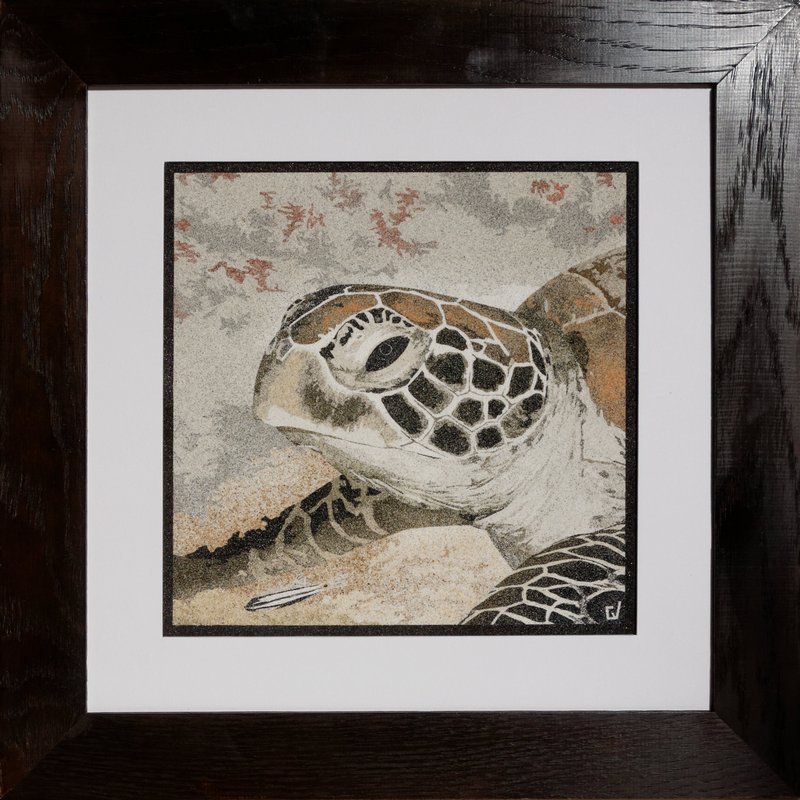 Tortue verte du Pacifique sud