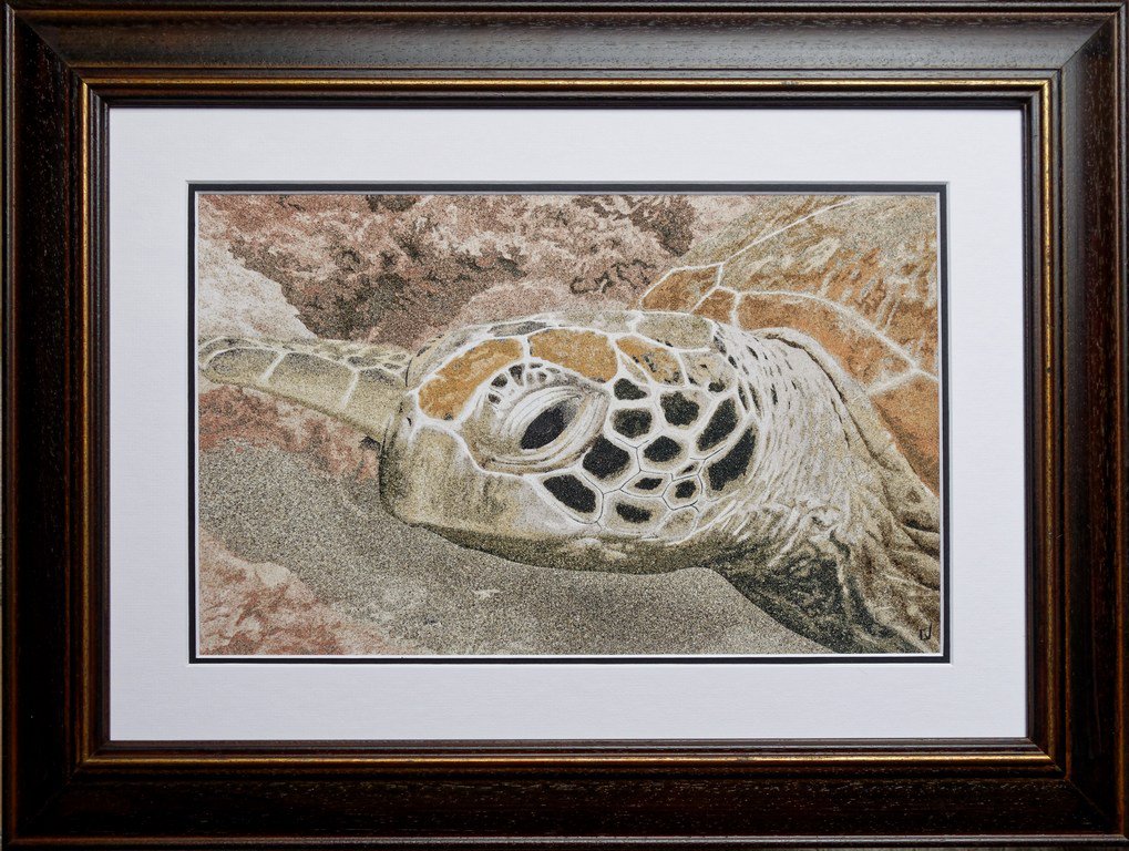 La tortue de Tépava