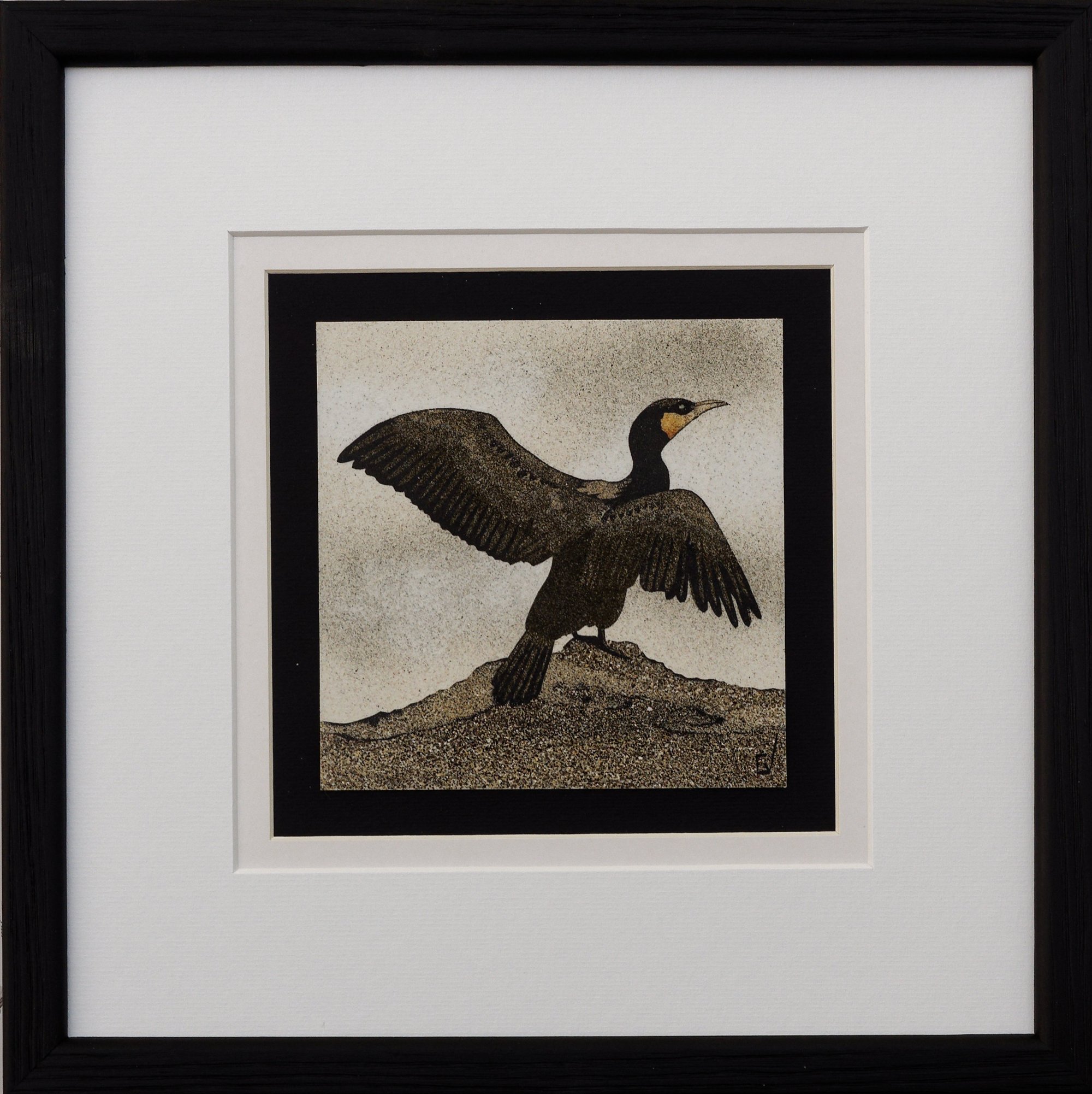 Cormoran