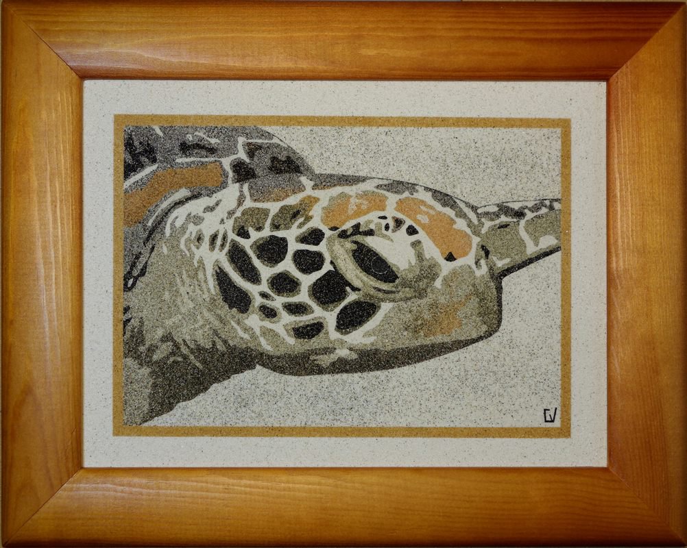 La tortue de Tépava