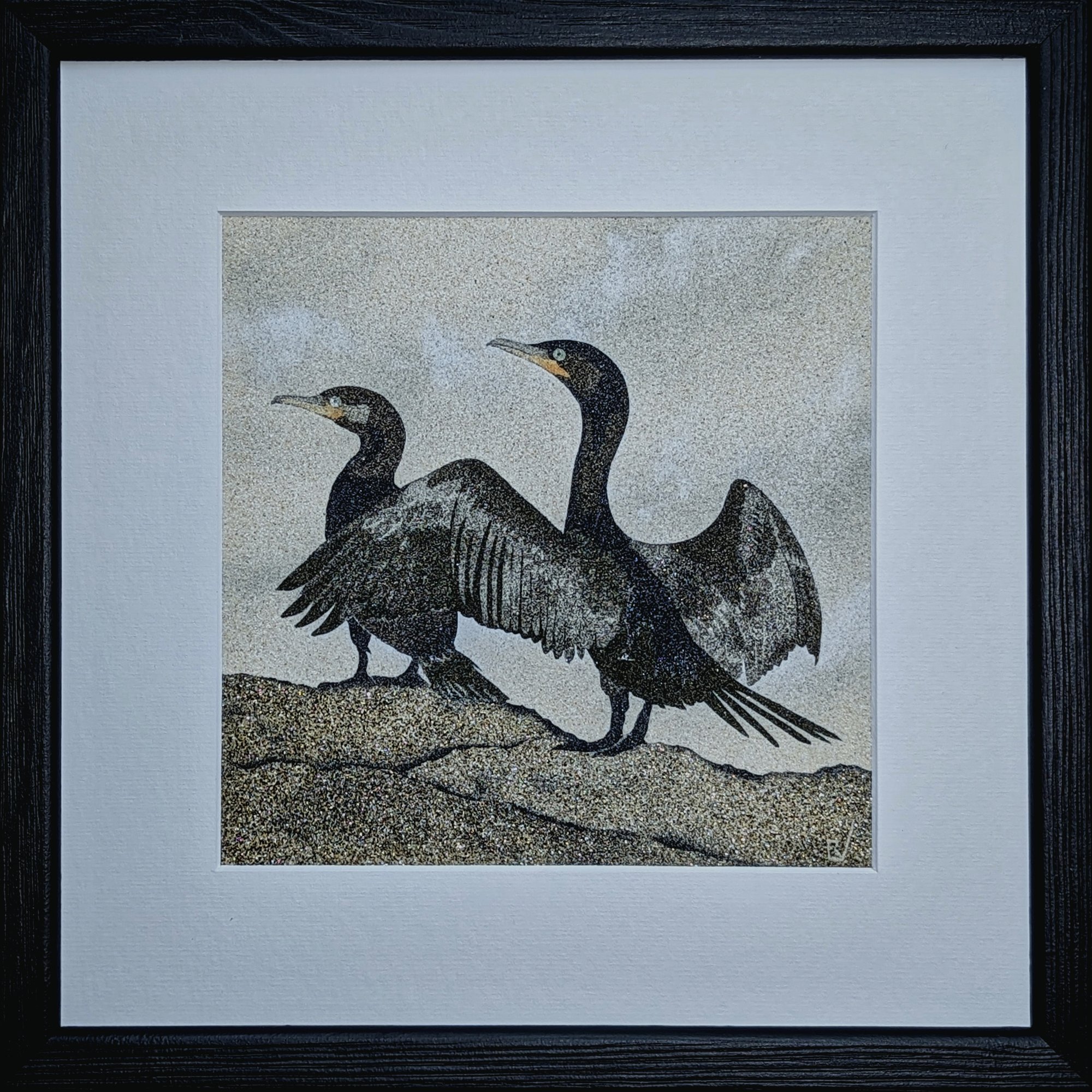cormorans bretons