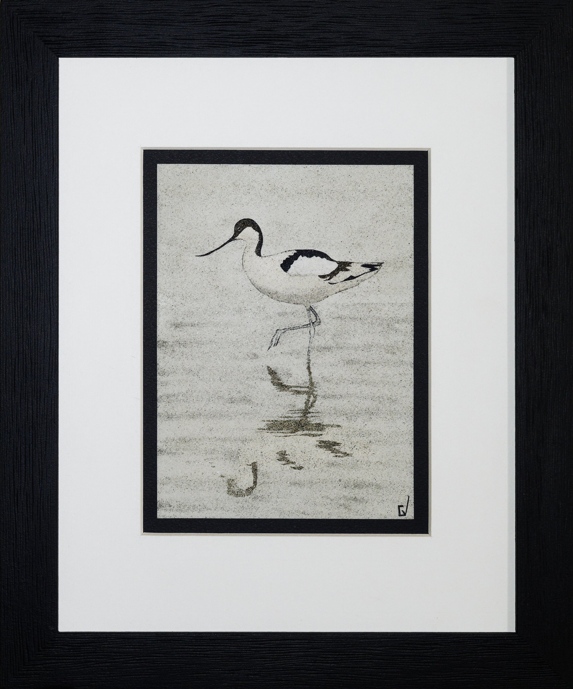 Avocette élégante
