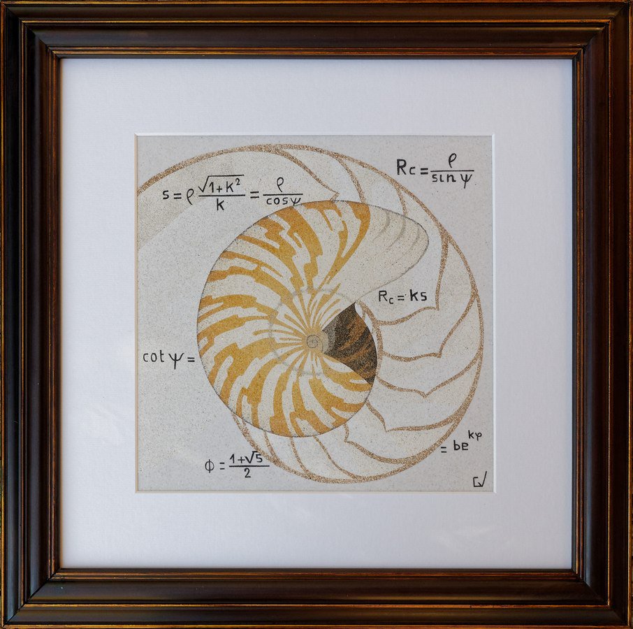 Nautile et mathématiques