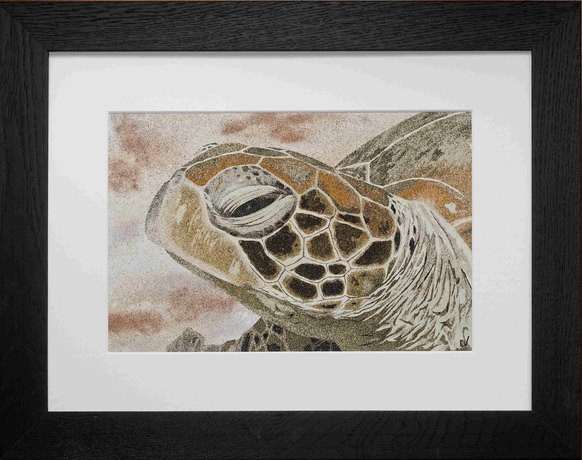 Tortue verte néo calédonienne