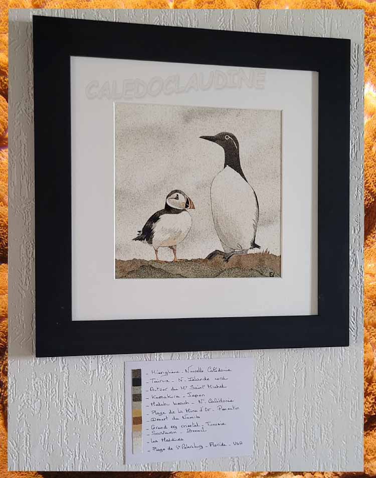 macareux et guillemot
