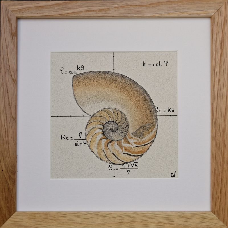 Nautilus and logarithmic spiral